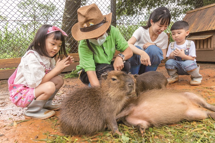 動物相伴 大小朋友嗨玩精彩仲夏假期   六福莊生態度假旅館