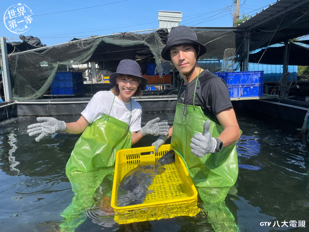 探訪台灣第一位成功復育墨瑞鱈的養殖達人　李懿成功釣巨無霸龍膽石斑