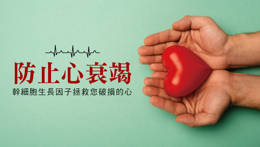 防止心衰竭！幹細胞生長因子拯救您破損的心