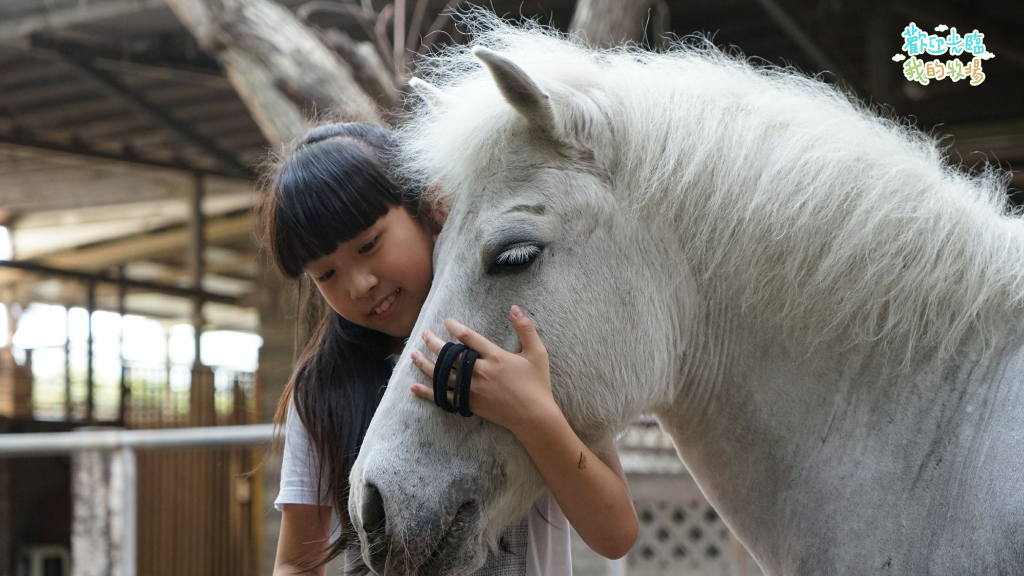 《歡迎光臨我的牧場》開箱全台牧場家庭　揭飼養動物神祕面紗