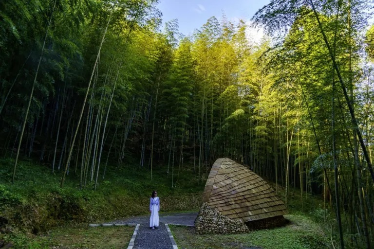 雲林景點｜全台首座森林療癒基地　走進世界竹地標五感紓壓體驗