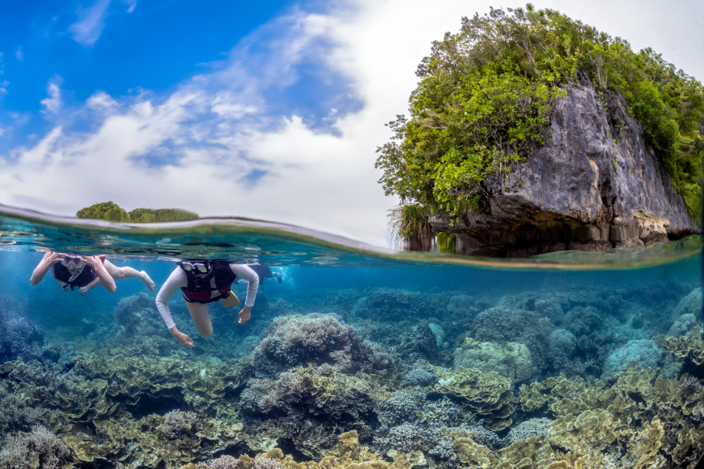 環遊世界｜與鯊魚共游、體驗海洋泥SPA　探索上帝的水族箱「帛琉」