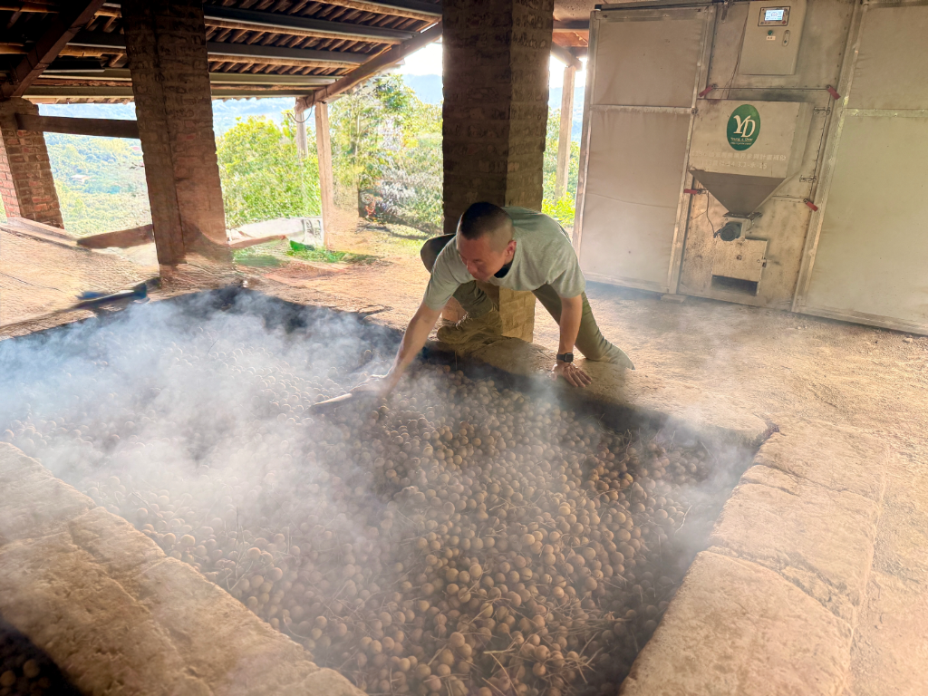 台南美食｜龍眼農的討山文化　與時間拚搏的風味之美