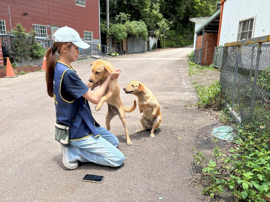 台灣懷生相信動物協會—從源頭絕育，守護人與犬的共好關係