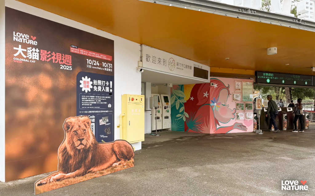 野性魅力席捲新竹市立動物園！「限時免費入園」開啟猛獸冒險