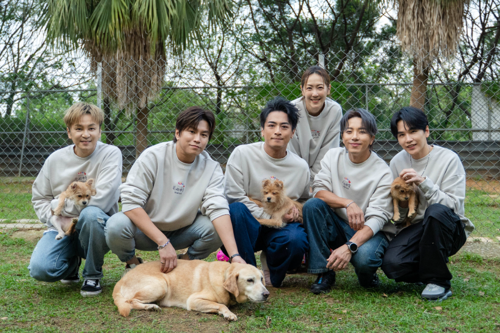 Energy阿弟親見浪浪完全忘記過敏　牛奶想起自家「小吉」超有感