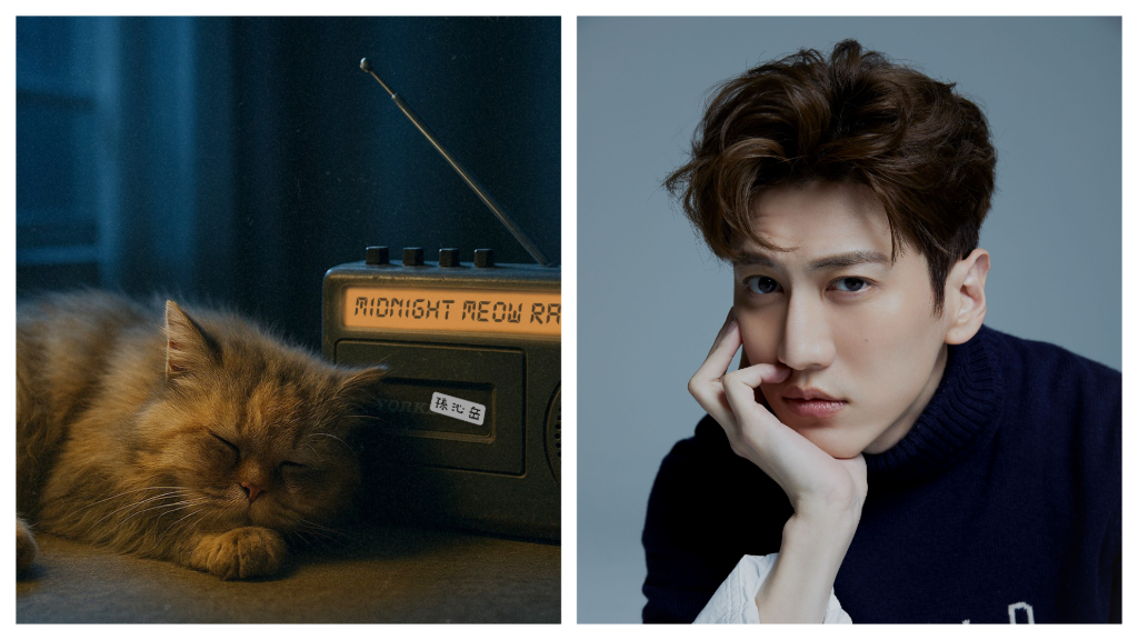 孫沁岳自認個性像貓　曝與貓咪相處日常：跟牠們在一起很自在