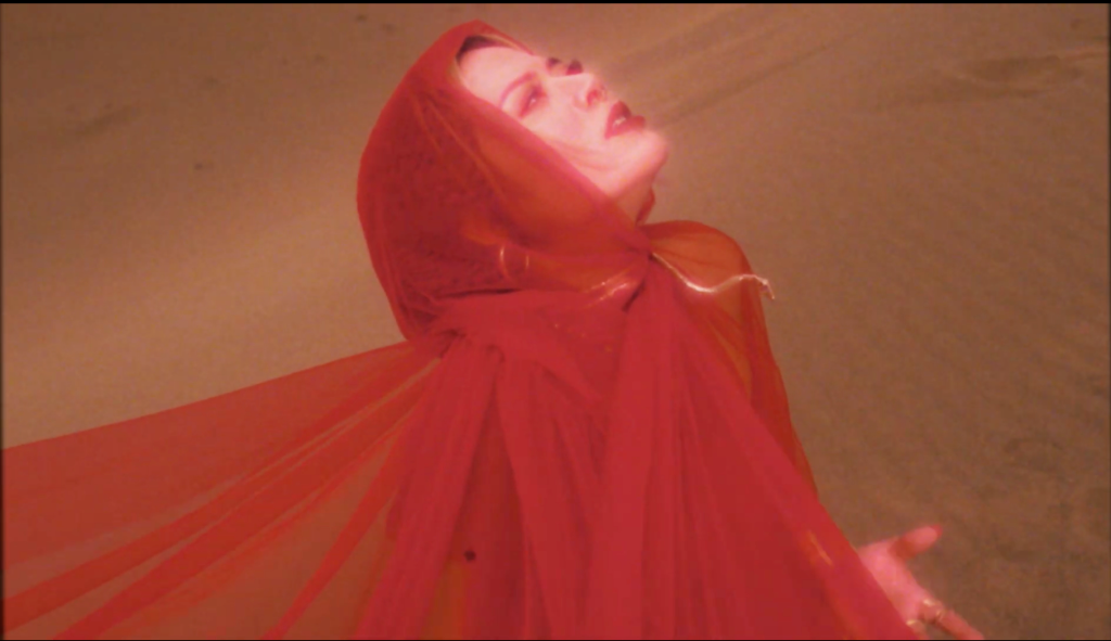 受邀參與黑眼豆豆巡演舞台　夏沐感動喊：人生解鎖