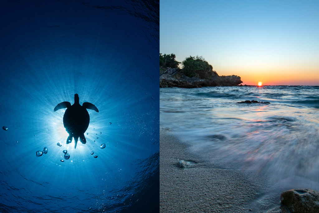 屏東旅遊｜水下攝影師的跨年提案　與海龜一起悠游迎新年