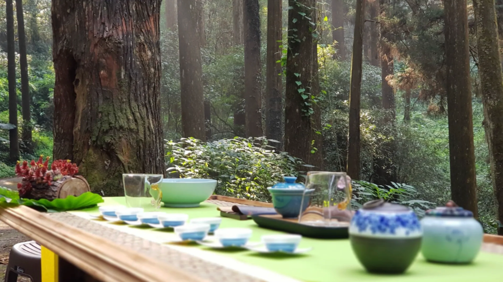 手搖飲天天喝卻不知道怎麼選好茶？網友揭秘十大選茶關鍵 原來差在這！