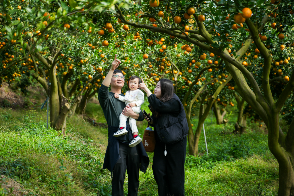 新竹旅遊｜走春南園重拾年味　登高採橘討吉利、尋訪在地百大小吃