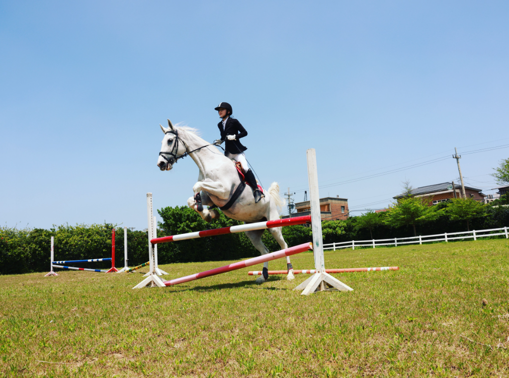《豆腐媽媽》徐千京重返馬術世界！首度鏡頭前挑戰110公分跳障礙：好兆頭的一年