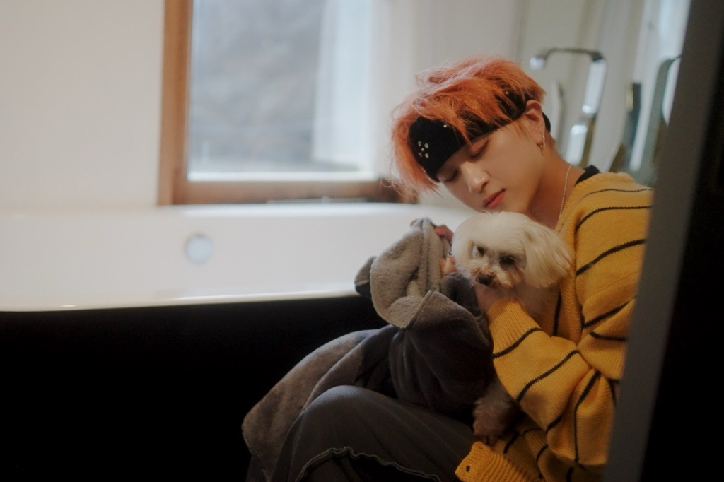 曾想讀獸醫系守護流浪動物！ U:NUS 吳昱廷MV一圓多年夢　暴雨寒冬為小狗保暖