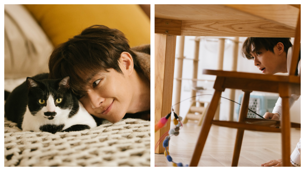 炎亞綸化身獨居男子領養老貓　感性喊話：牠們用一生陪我們