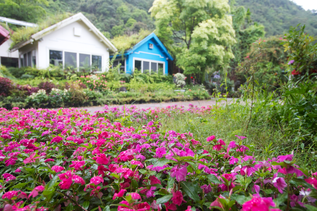 台灣旅遊｜春日賞花慢旅　探尋職人花田，品味餐桌上的清雅花食