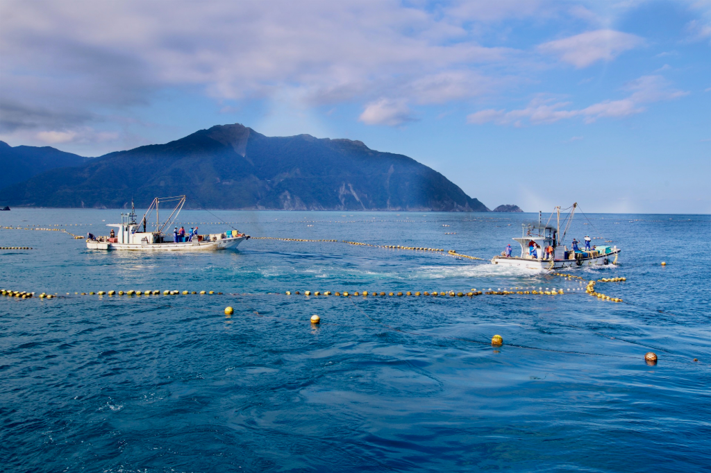 海洋餐桌｜永續海鮮餐桌計畫　生態廚師全台尋味，重新發現台灣海味文化
