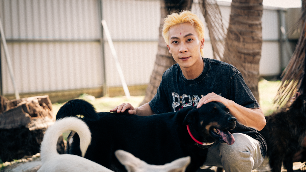 台饒「壞小子」潤少回來了！《南部基尼》辛辣破表　從鄭成功唱到賴清德　MV狗園取景響應浪浪