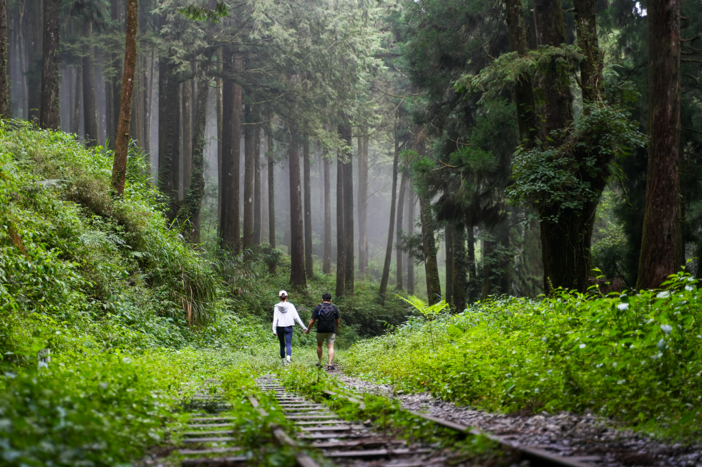 嘉義旅遊｜漫步水山療癒步道百年鐵道　走進優遊吧斯聆聽鄒族家屋故事