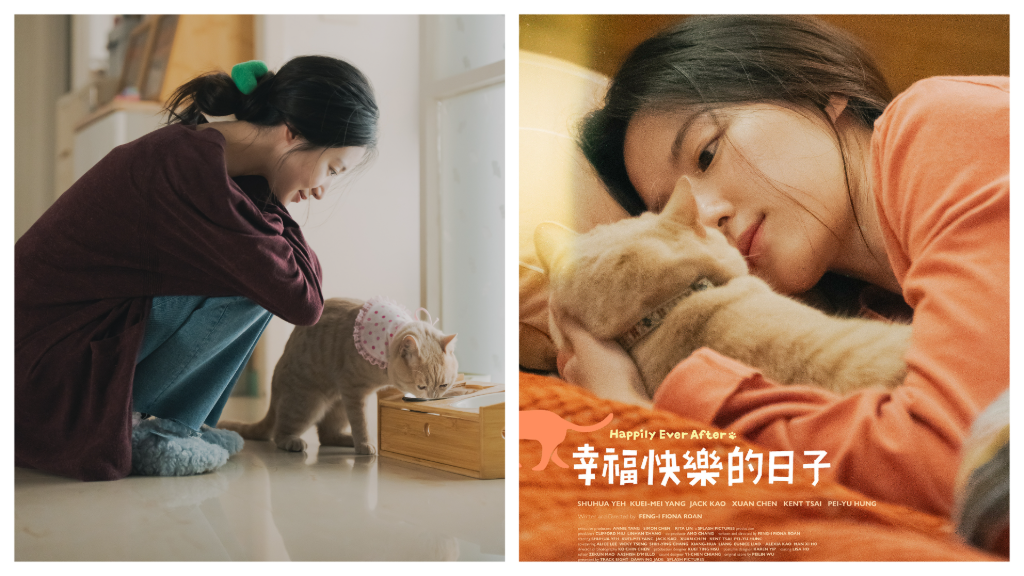 舒華跨界主演電影《幸福快樂的日子》！親自幫萌貓取名「Q醬」　笑喊想偷抱回家