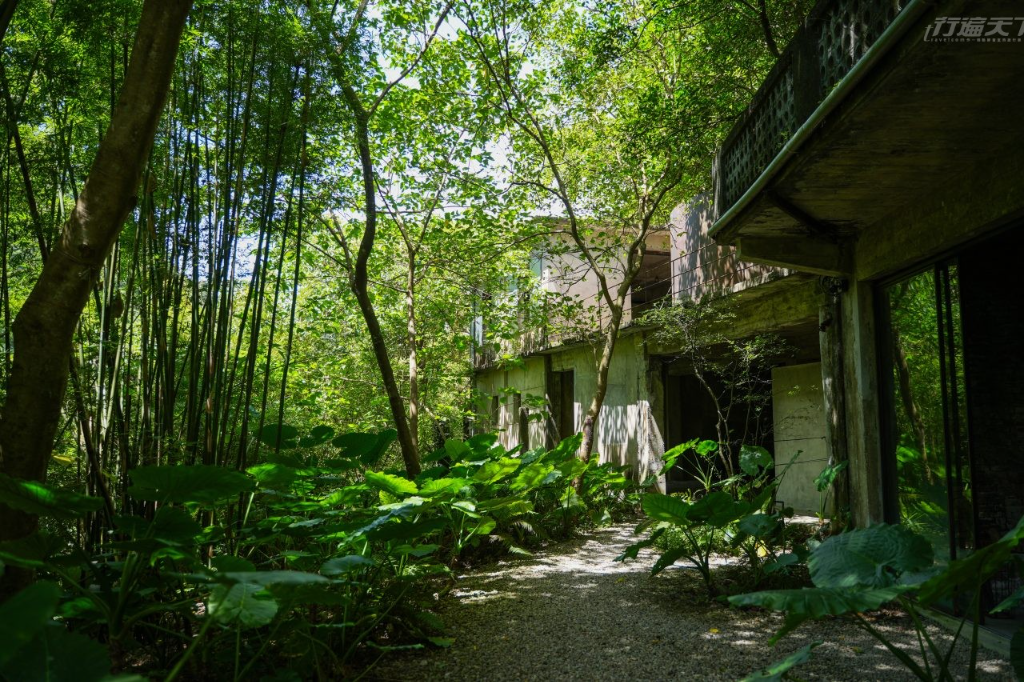 新北景點｜三峽舊礦場變身心靈秘境！　五感體驗山林留白時光